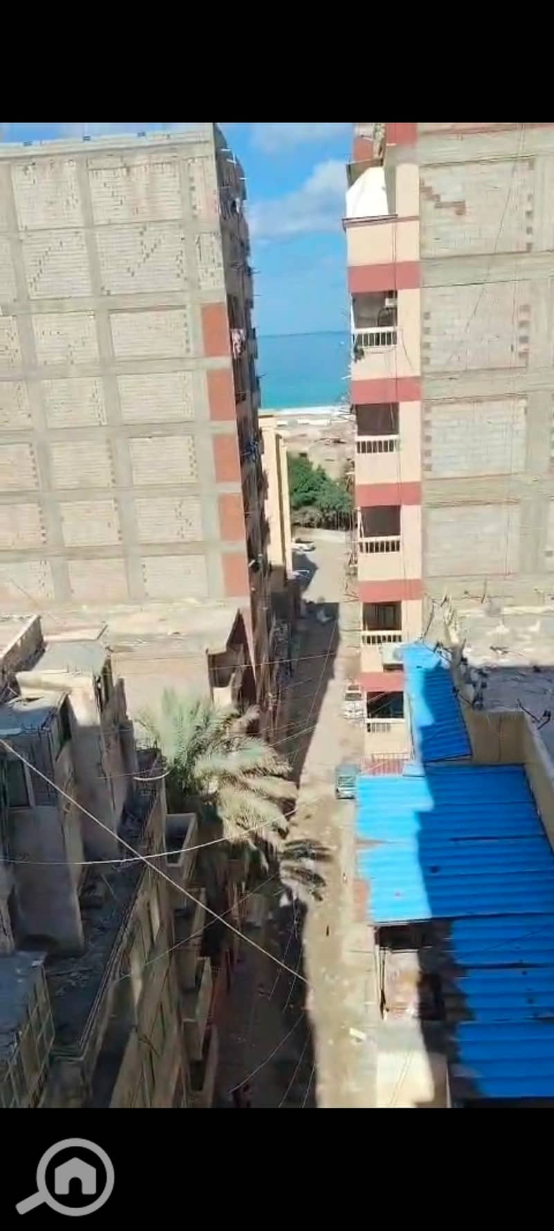 3 136284. jpg