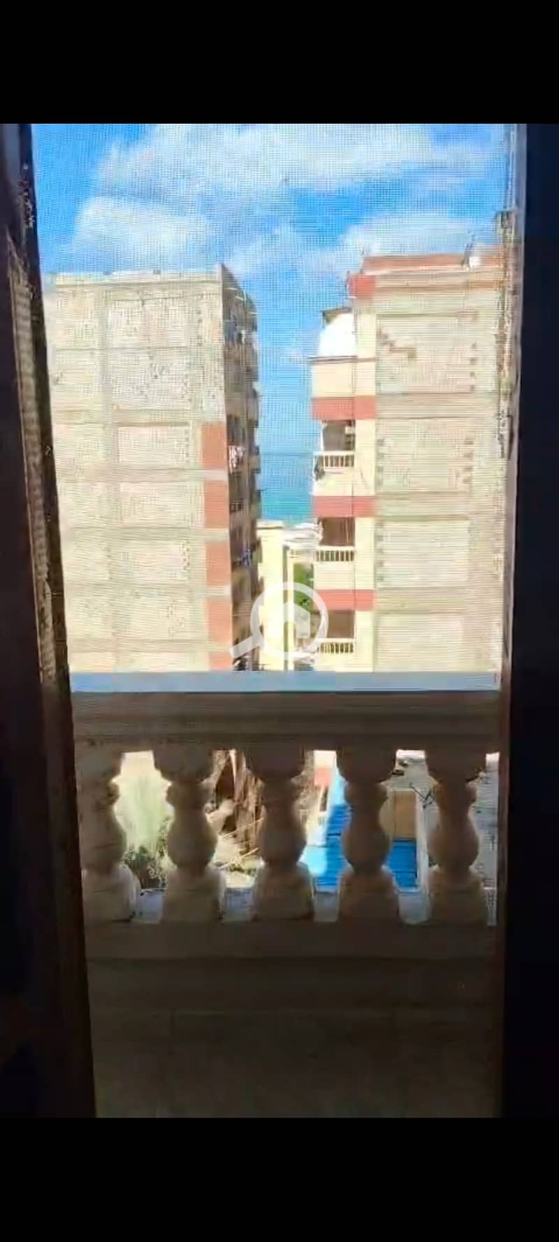 5 136282. jpg
