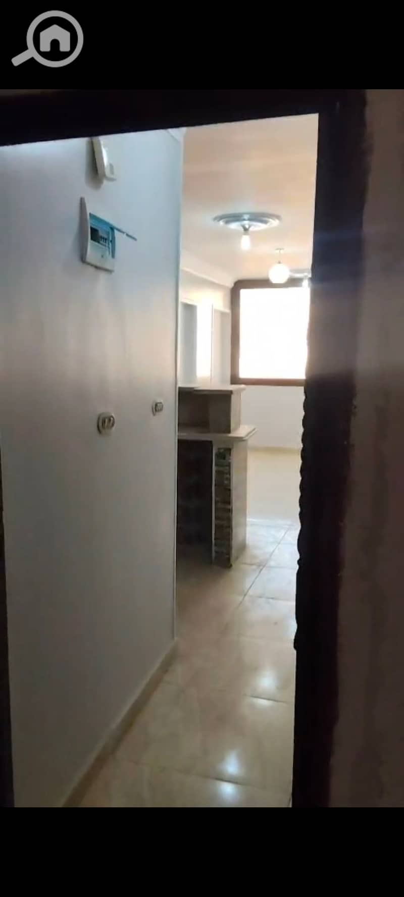 22 136263. jpg