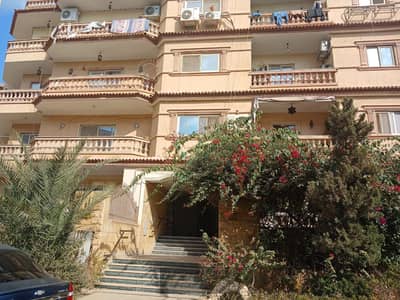 2 Bedroom Apartment for Sale in Sheikh Zayed, Giza - WhatsApp Image 2026-10-11 at 2.34. 23 PM (2). jpeg 2 Bedroom Apartment for Sale in Sheikh Zayed, Giza - WhatsApp Image 2026-10-11 at 2.34. 23 PM (2). jpeg