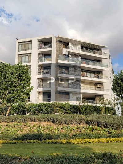 Studio for Rent in New Cairo, Cairo - 484579140_669067355630127_3563528461306745632_n (1). jpg