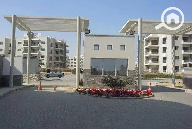 5 7. jpg