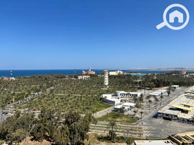 1 Bedroom Room for Rent in Montazah, Alexandria - b6b22231-9361-4d51-b844-004ed1f6cb7a. jpg 1 Bedroom Room for Rent in Montazah, Alexandria - b6b22231-9361-4d51-b844-004ed1f6cb7a. jpg