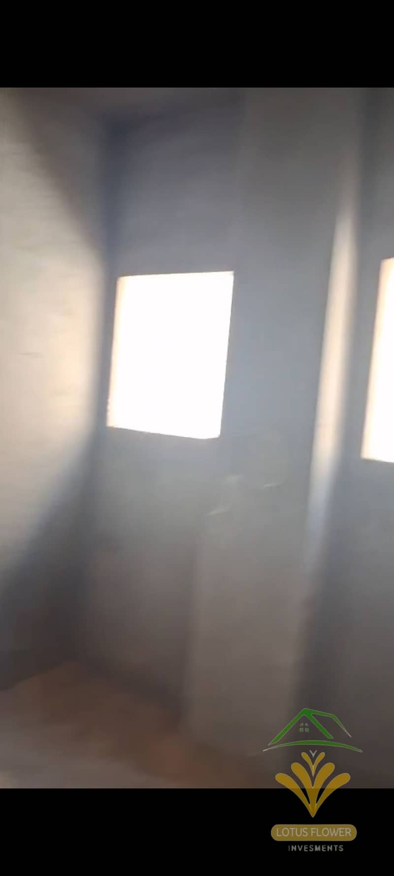 3 1001309598. jpg