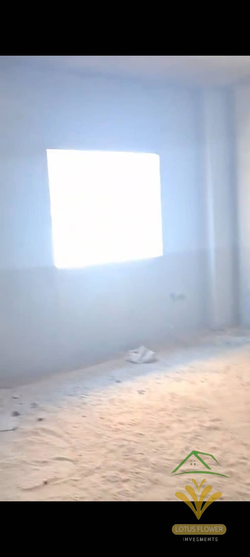 4 1001309605. jpg