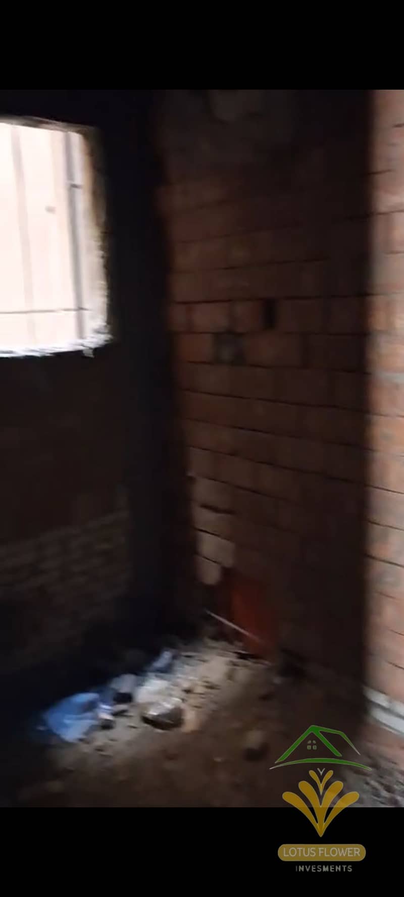 8 1001309604. jpg