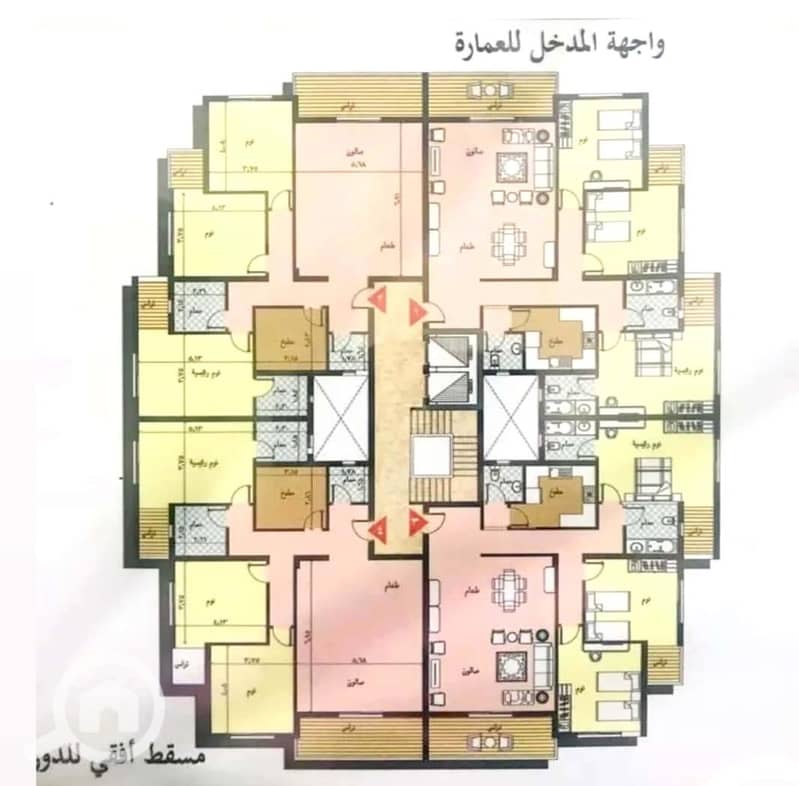 8 1001397753. jpg
