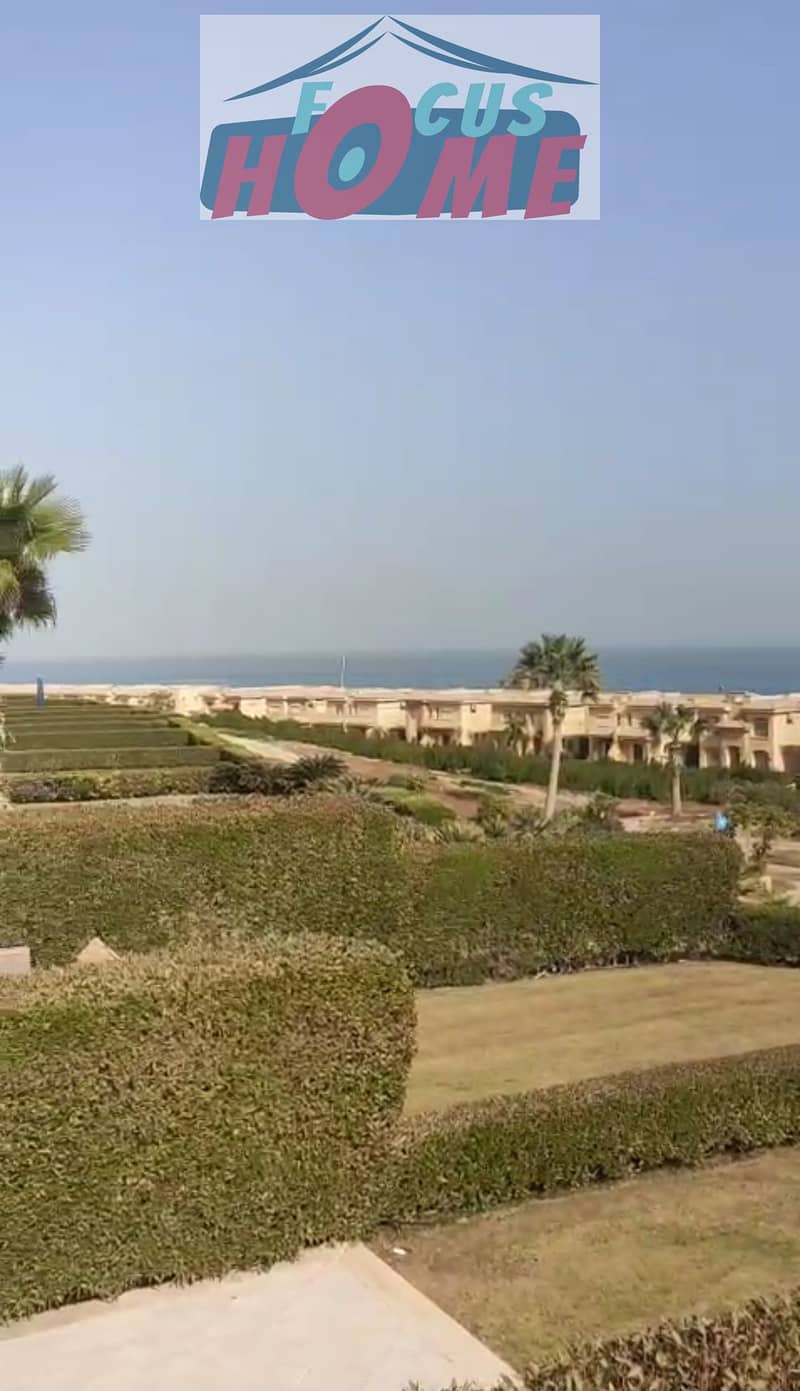 6 1000887280. jpg