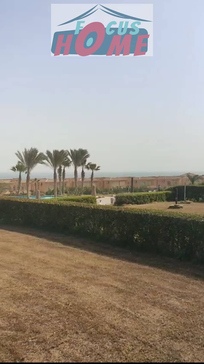 10 1000887290. jpg