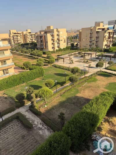 3 Bedroom Apartment for Sale in Shorouk City, Cairo - 1000244245. jpg 3 Bedroom Apartment for Sale in Shorouk City, Cairo - 1000244245. jpg