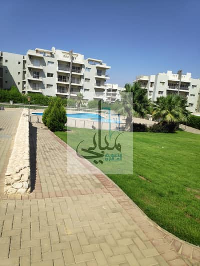 شقة 3 غرف نوم للايجار في الشيخ زايد، الجيزة - WhatsApp Image 2026-10-03 at 3.35. 10 PM. jpeg شقة 3 غرف نوم للايجار في الشيخ زايد، الجيزة - WhatsApp Image 2026-10-03 at 3.35. 10 PM. jpeg