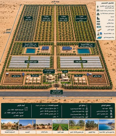 Agricultural Land for Sale in Farafra, New Valley - ٣٥٠ فدان زراعي فرافرة ابو منقار Agricultural Land for Sale in Farafra, New Valley - ٣٥٠ فدان زراعي فرافرة ابو منقار