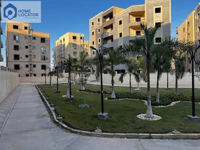 3 Bedroom Apartment for Sale in New Cairo, Cairo - 1000957981. jpg