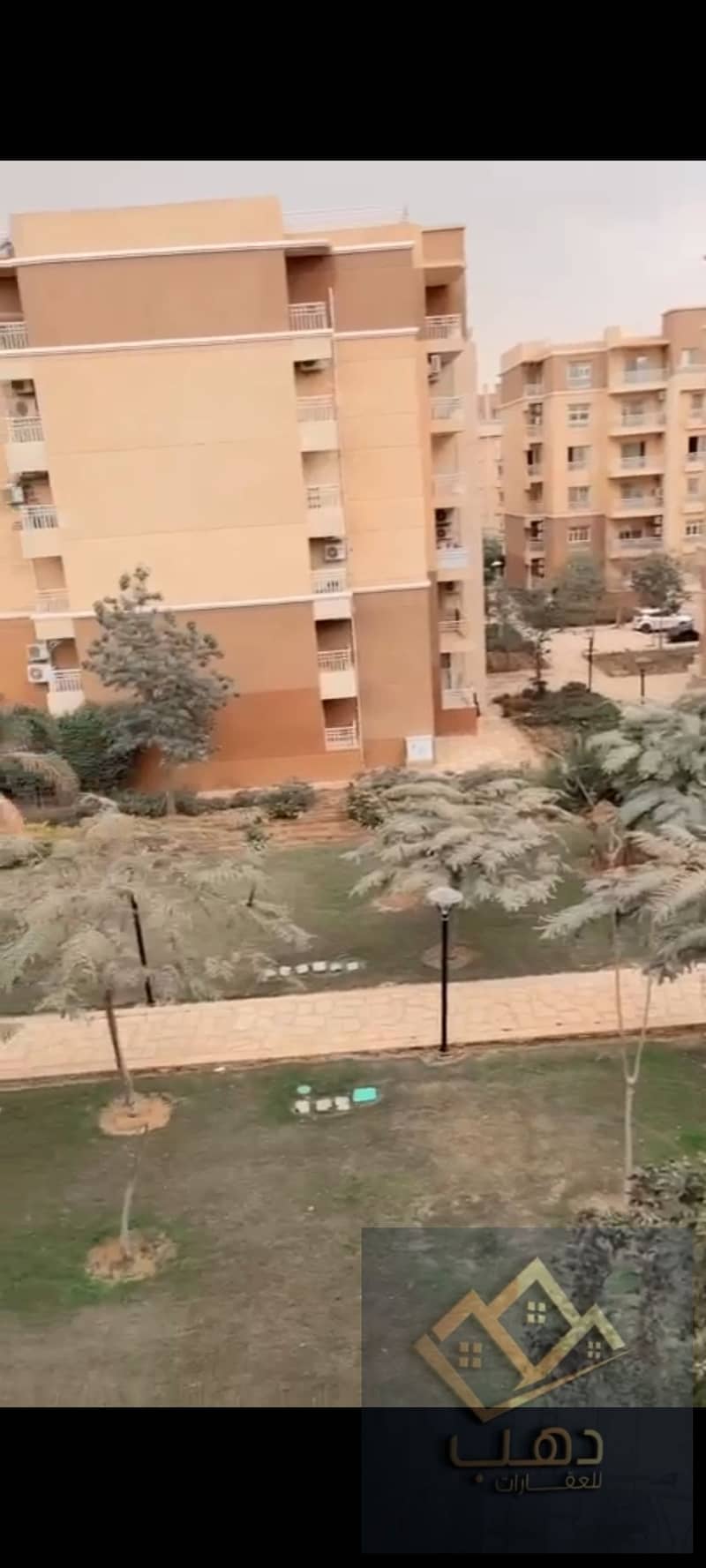 6 584450. jpg