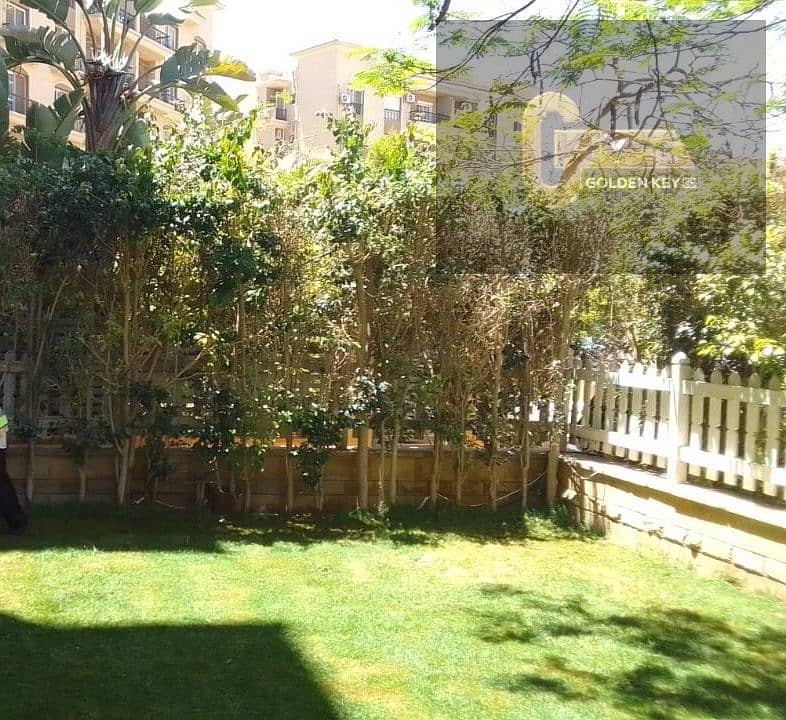 5 1001255858. jpg