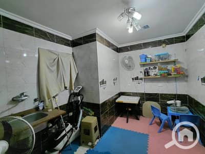 Office for Rent in Laurent, Alexandria - 1000391134. jpg Office for Rent in Laurent, Alexandria - 1000391134. jpg