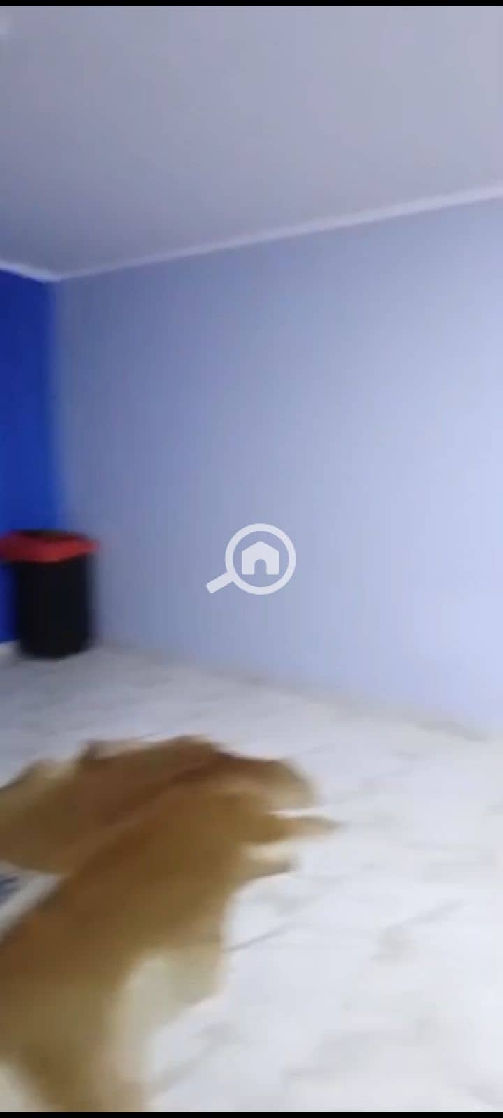 11 1000109619. jpg