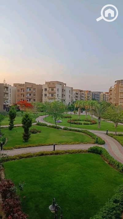 شقة 3 غرف نوم للايجار في 6 اكتوبر، الجيزة - 1000358528. jpg شقة 3 غرف نوم للايجار في 6 اكتوبر، الجيزة - 1000358528. jpg