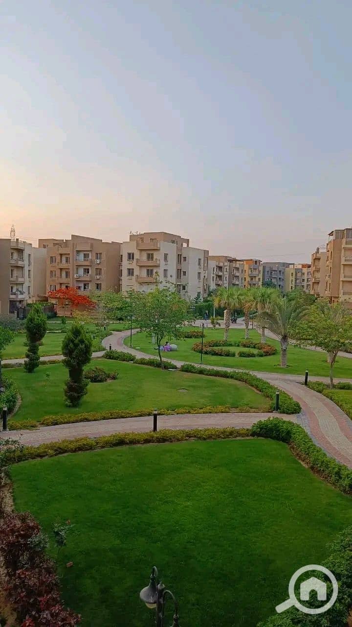 9 1000358528. jpg