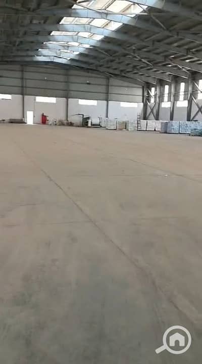 Factory for Rent in 10th of Ramadan, Sharqia - 1000696671. jpg