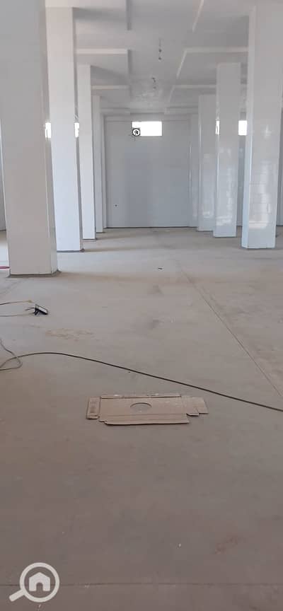 Factory for Rent in 10th of Ramadan, Sharqia - 1000671717. jpg