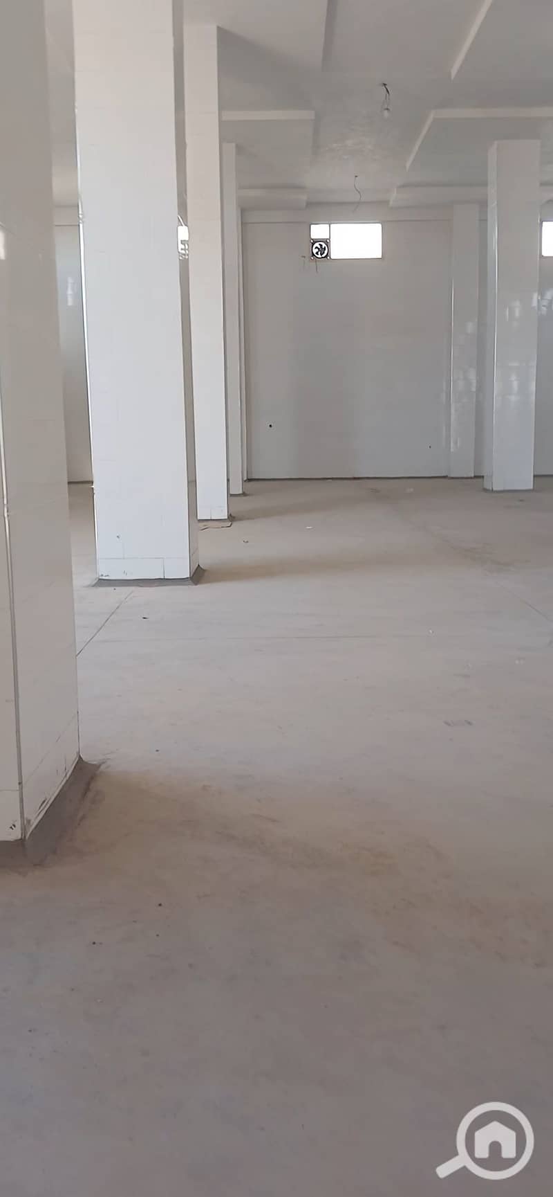 2 1000671716. jpg