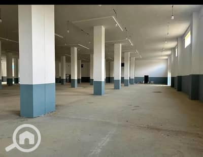 Factory for Rent in 10th of Ramadan, Sharqia - 1000686736. jpg