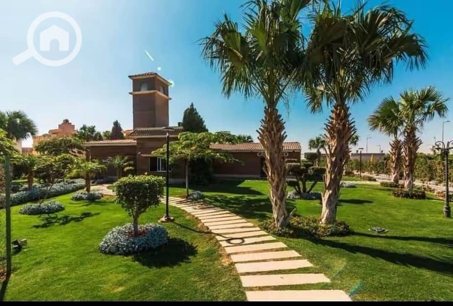 6 1000473333. jpg