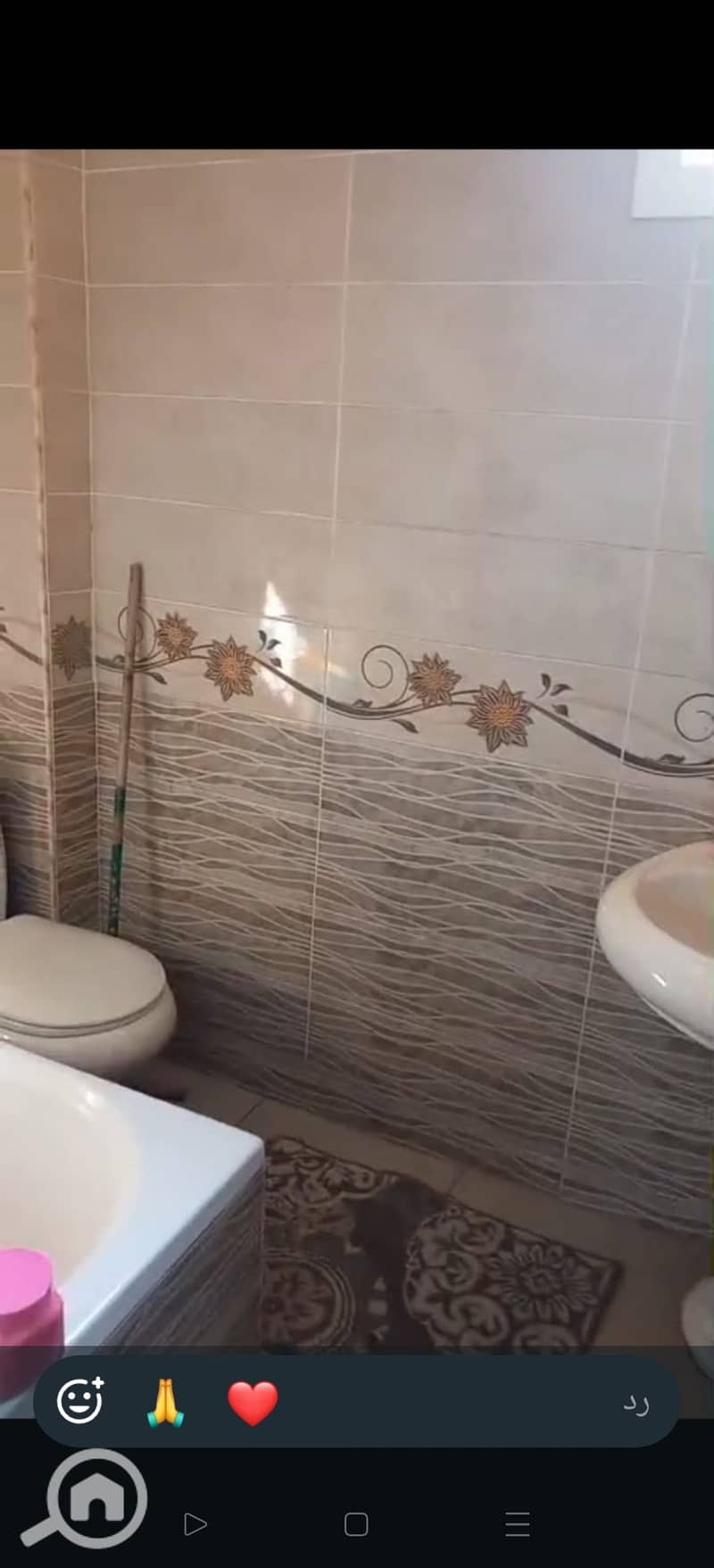 5 267878. jpg