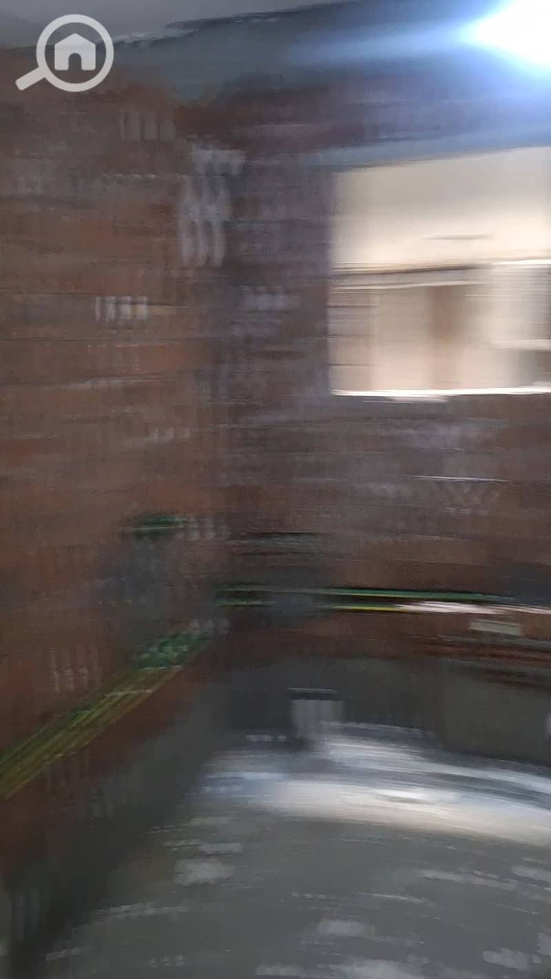 3 1000489409. jpg