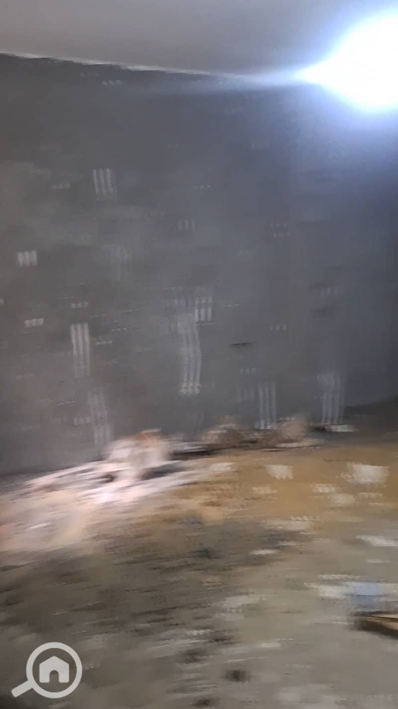 19 1000489411. jpg