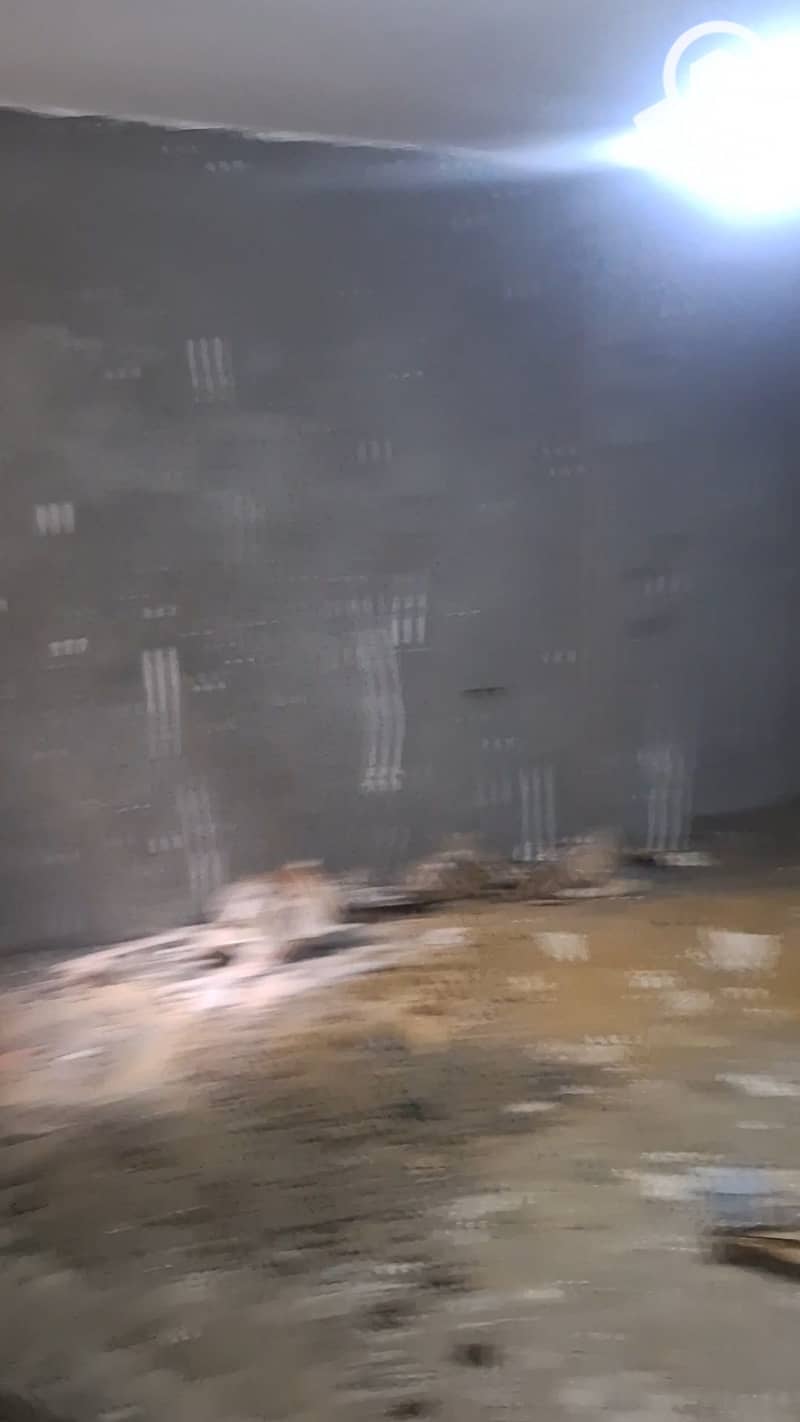 20 1000489411. jpg
