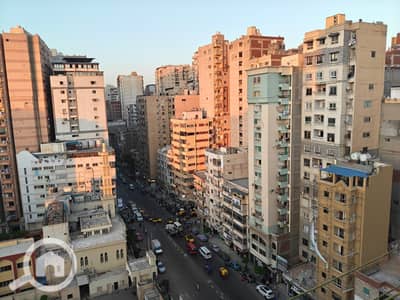 3 Bedroom Apartment for Rent in Miami, Alexandria - 211804. jpg