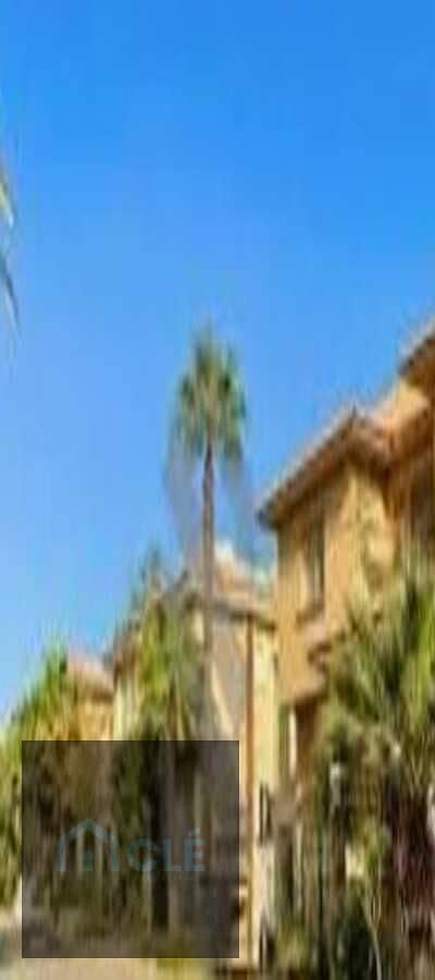 3 WhatsApp Image 2026-10-12 at 05.00. 21. jpeg