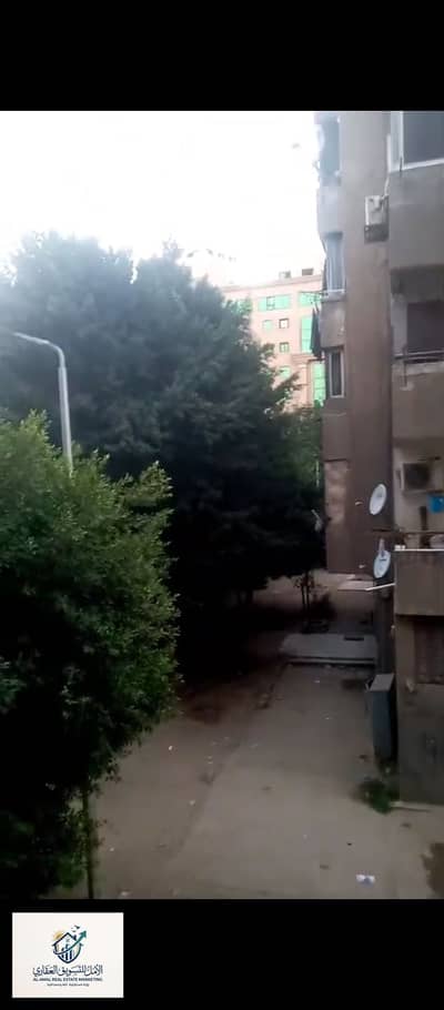 2 Bedroom Flat for Rent in Maadi, Cairo - 1000297830. jpg 2 Bedroom Flat for Rent in Maadi, Cairo - 1000297830. jpg
