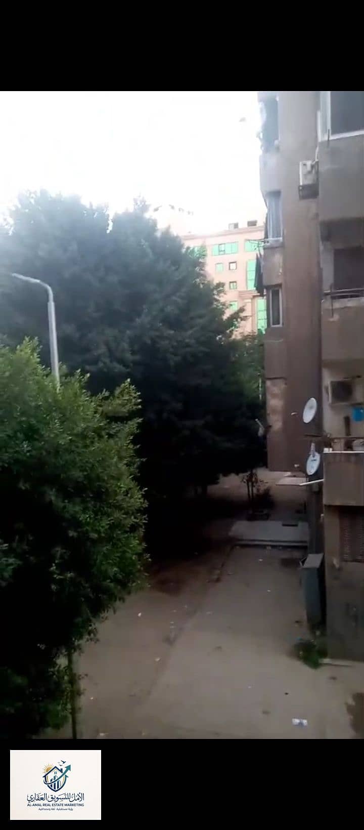 1000297830. jpg 1000297830. jpg
