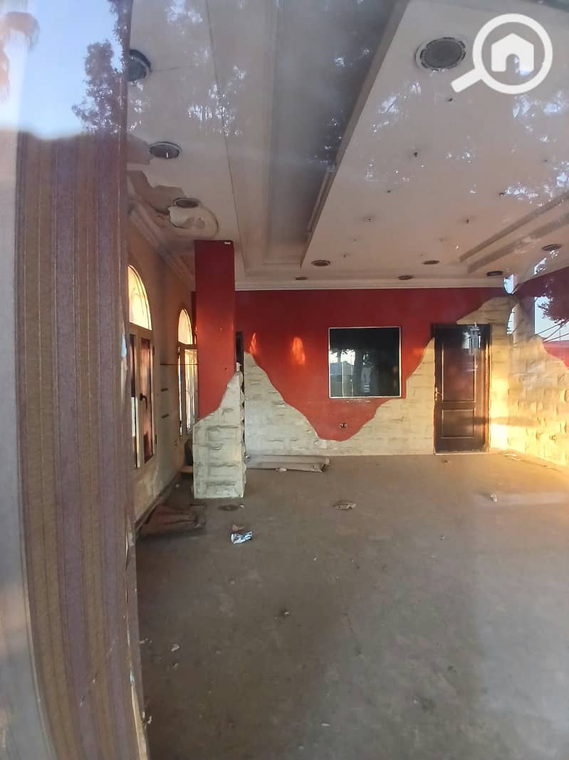 9 1001027589. jpg