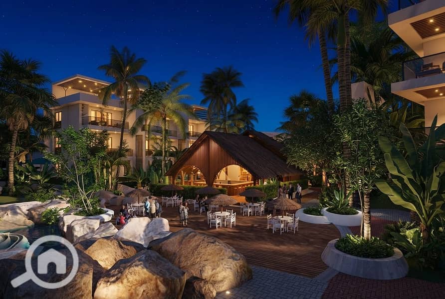 16 night. jpg