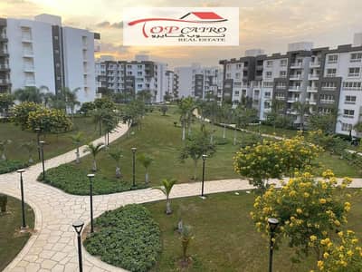 3 Bedroom Apartment for Sale in Madinaty, Cairo - WhatsApp Image 2023-01-23 at 3.48. 41 PM (4). jpeg 3 Bedroom Apartment for Sale in Madinaty, Cairo - WhatsApp Image 2023-01-23 at 3.48. 41 PM (4). jpeg