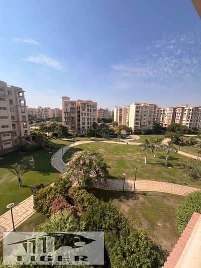 3 Bedroom Apartment for Rent in Madinaty, Cairo - 282782. jpg 3 Bedroom Apartment for Rent in Madinaty, Cairo - 282782. jpg