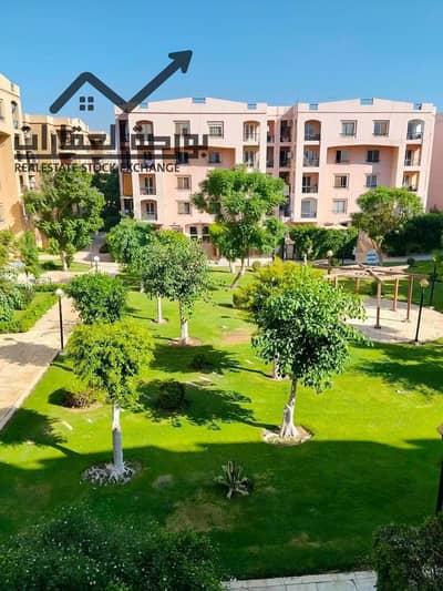 شقة 3 غرف نوم للايجار في القاهرة الجديدة، القاهرة - WhatsApp Image 2026-10-11 at 12.36. 24 PM (3). jpeg