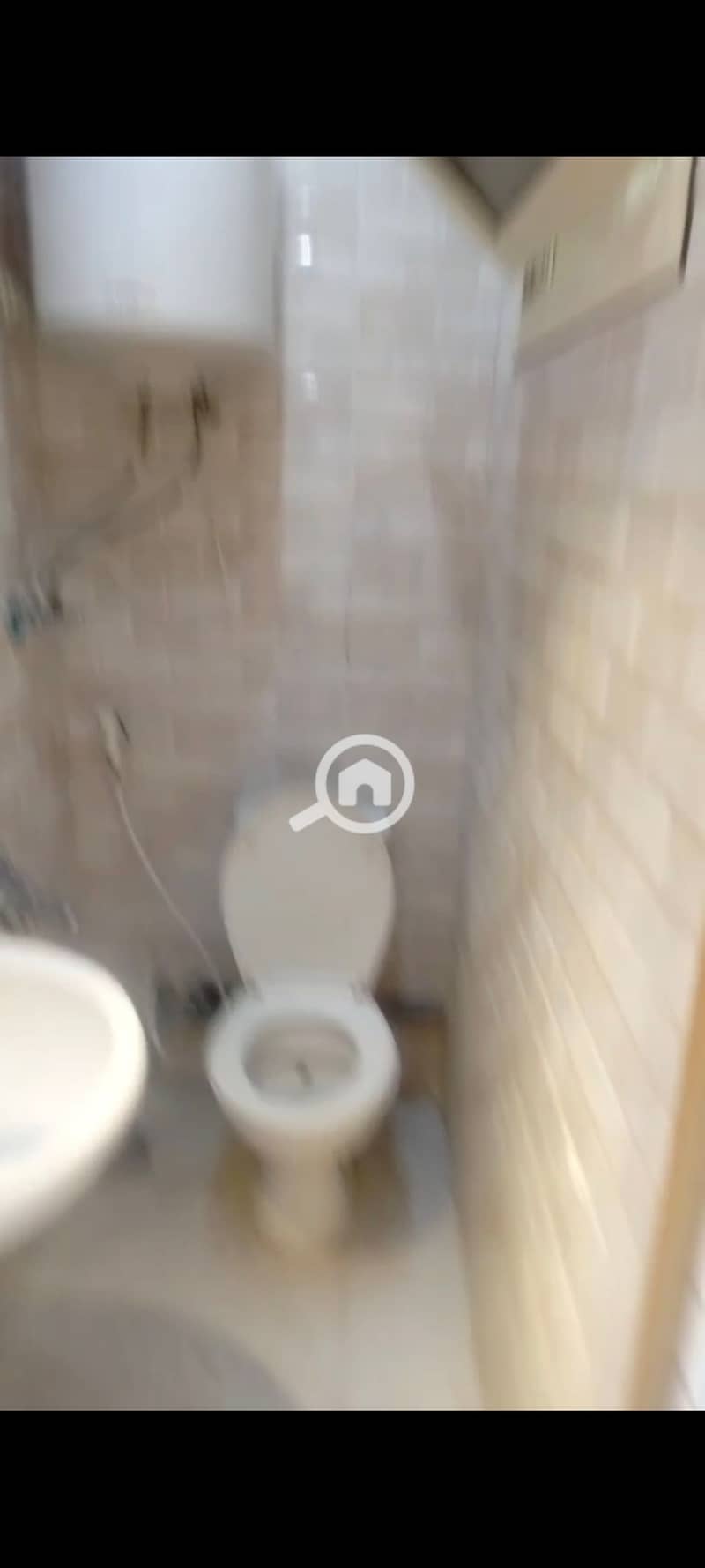 10 1000448951. jpg
