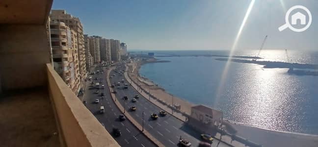3 Bedroom Flat for Sale in Sidi Beshr, Alexandria - WhatsApp Image 2026-10-10 at 12.11. 49 (1). jpeg 3 Bedroom Flat for Sale in Sidi Beshr, Alexandria - WhatsApp Image 2026-10-10 at 12.11. 49 (1). jpeg
