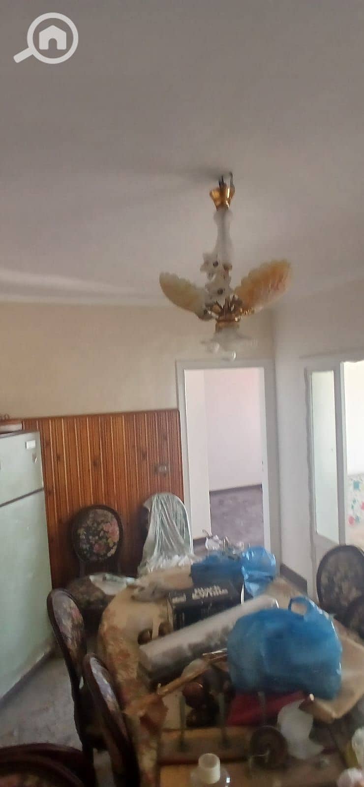 12 WhatsApp Image 2026-10-10 at 12.11. 52 (2). jpeg