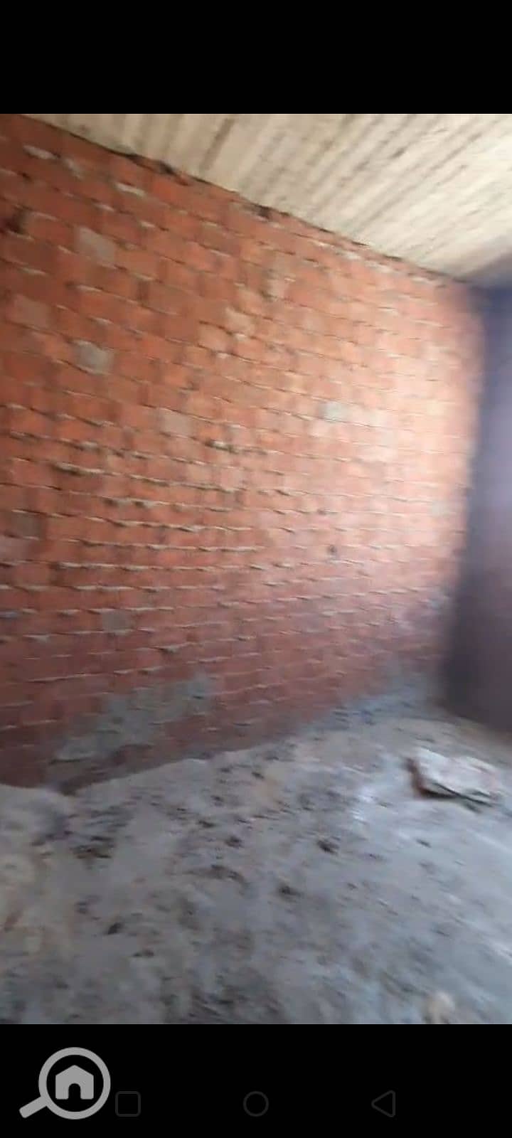15 1002155264. png