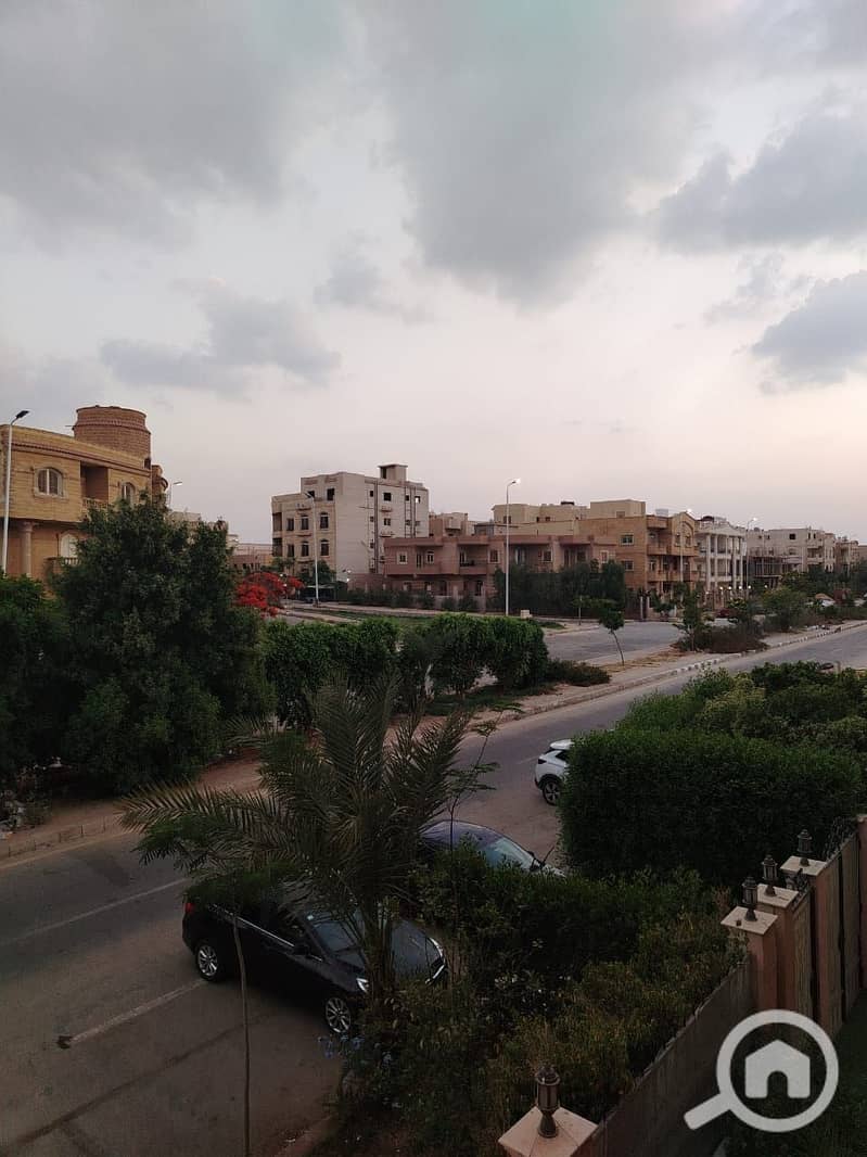 6 530889. jpg