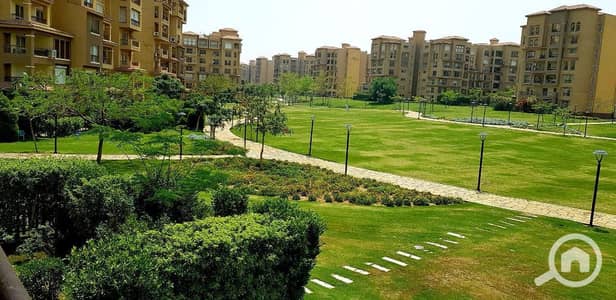 3 Bedroom Flat for Sale in Madinaty, Cairo - WhatsApp Image 2026-10-12 at 1.14. 01 PM. jpeg