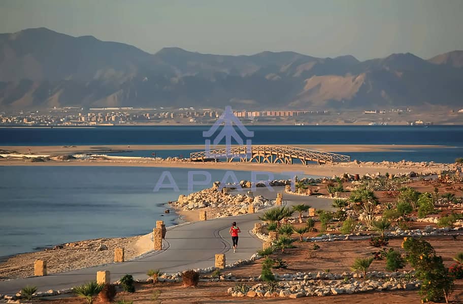 2 image_01. jpg