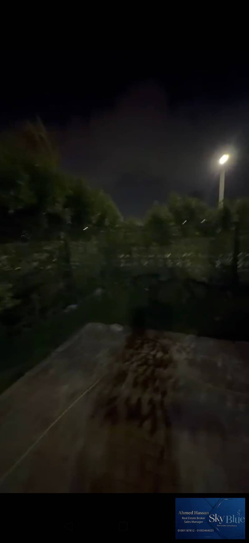 6 429448. jpg