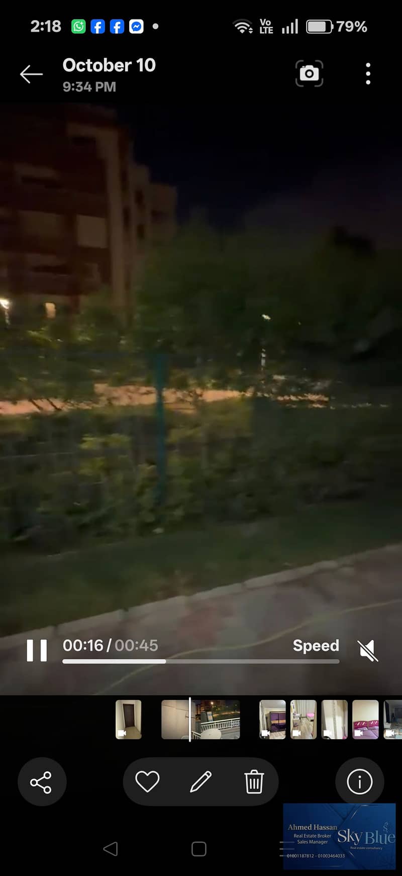 7 429447. jpg